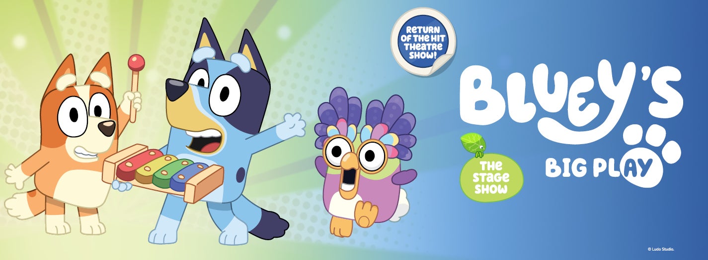 BLUEY'S BIG PLAY
