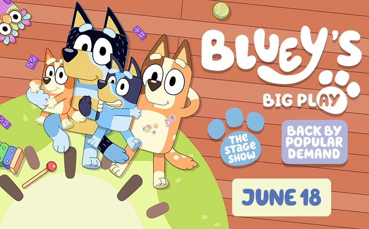 More Info for Bluey’s Big Play