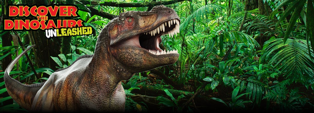 discover the dinosaurs